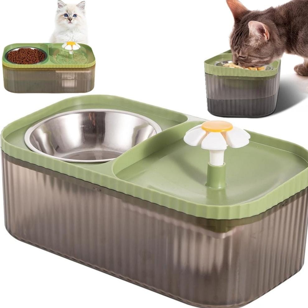 Comedero Para gatos